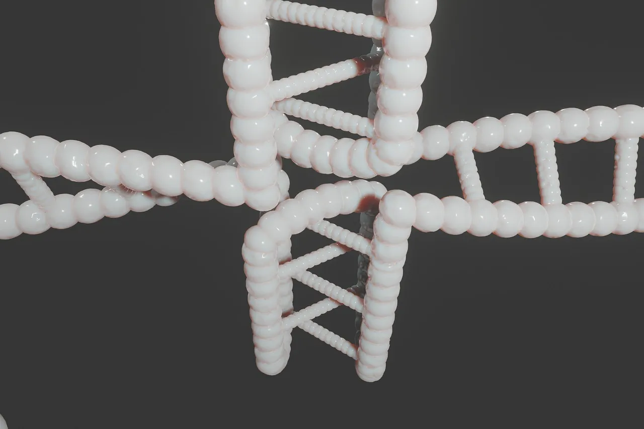 Human, dna, genetic — illustrating Zone 2 and Mitochondrial Health