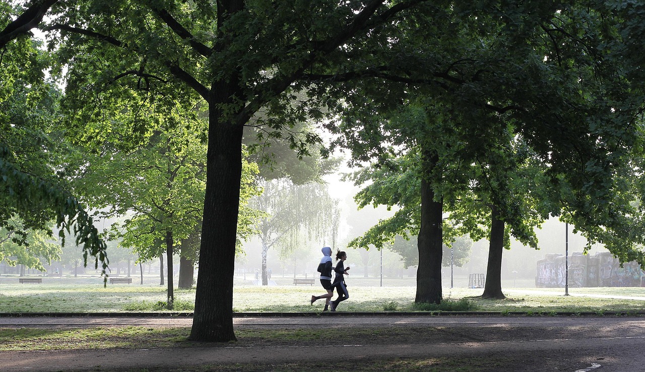 Jogging, fitness, jogger — illustrating Zone 2 Training and Recovery Capacity